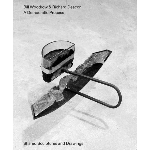 Bill Woodrow & Richard Deacon - a Democratic Process: Shared Bill Woodrow,Richard (Paperback)