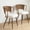 Walnut, variant on Beige,Brown Beige Brown Wicker Dining Chairs 2-Piece Set - 22.05 in Seat for Home Kitchen