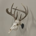 thumbnail image 3 of Allen Company Ez Mount Skull Hanger, Fixed, Black, 5" x 2.8" x 4.5", 3 of 7