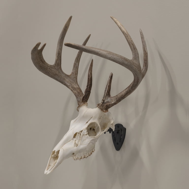Allen Company Ez Mount Skull Hanger, Fixed, Black, 5