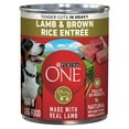 thumbnail image 1 of Purina ONE Tender Cuts in Gravy Lamb & Brown Rice Entrée, Wet Dog Food 368 g, 1 of 9