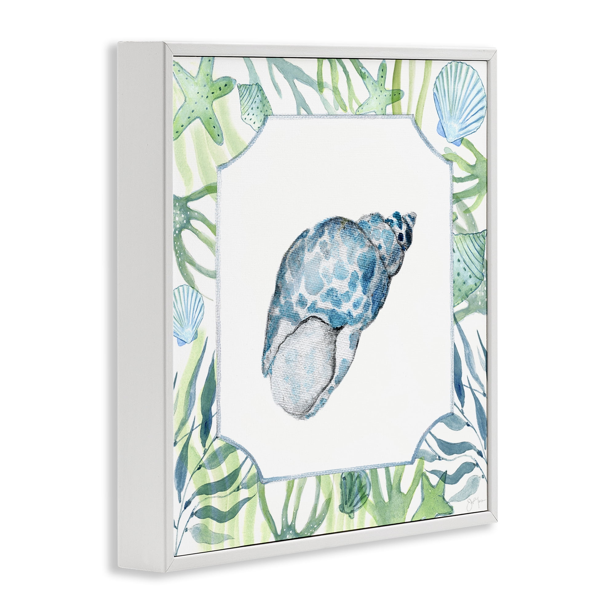 Stupell Industries Spotted Cowrie with Seaweed White Framed Giclee Art, design by Janet Tava