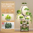 thumbnail image 3 of Plant Stand Indoor with Grow Lights - S-Shaped Metal Plant Shelf ; Tall Iron & Wood, 3 of 9