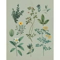 thumbnail image 3 of Wild Apple Portfolio 15x18 Black Modern Framed Museum Art Print Titled - Victorian Garden V, 3 of 5