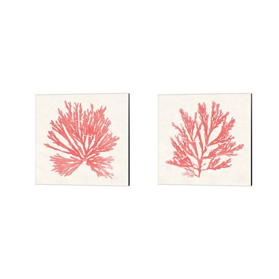 Great Art Now Pacific Sea Mosses Coral by Wild Apple Portfolio 2 Piece Canvas Art Set Each 14"W x 14"H