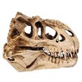 thumbnail image 4 of Lubelski Resin Crafts Dinosaur Tooth Skull Fossil Teaching Skeleton Model, 4 of 7