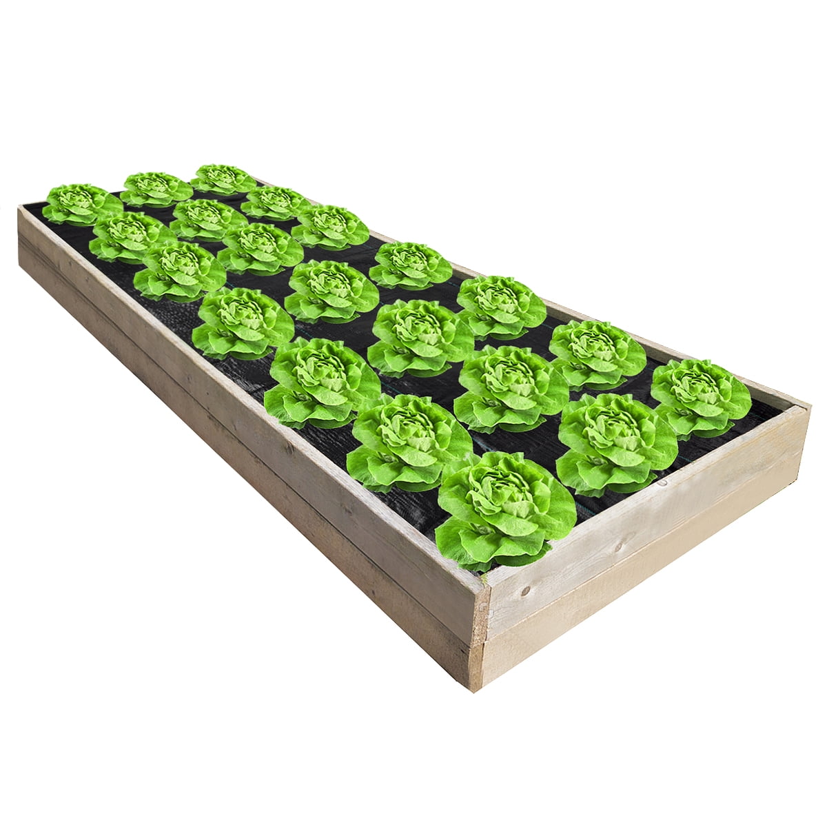Landscape Fabric Weed Barrier 4 ft. x 50 ft. 3.0 oz. Ground Cover Garden Mats 6 Rows, Planting Hole, 4 in. Dia