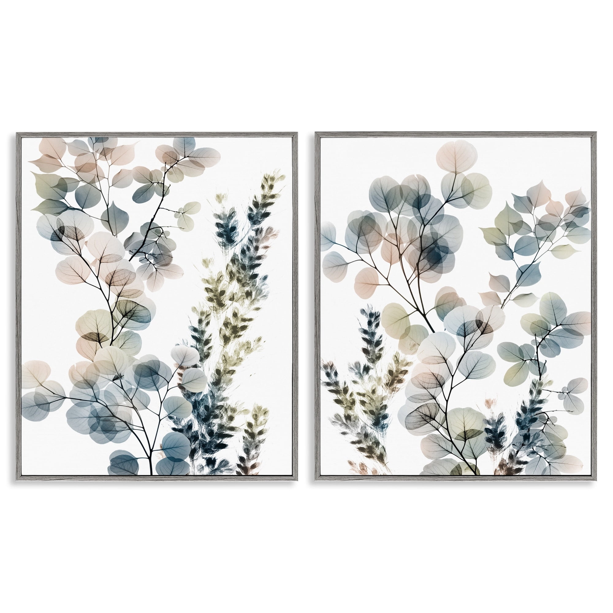 Stupell Industries Collage of Translucent Plants Botanical & Floral Photography Gray Framed Art Print Wall Art, 24 x 30, Set of 2