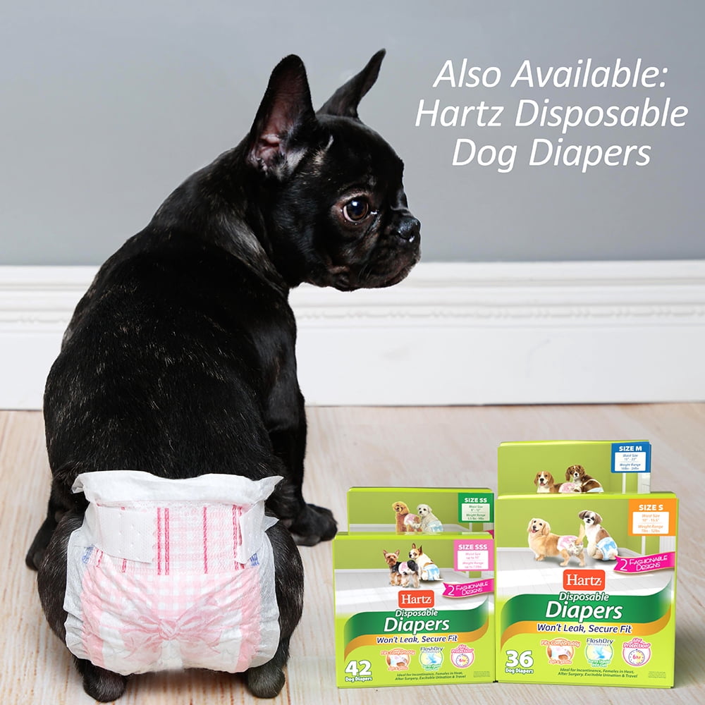 Hartz Disposable Male Dog Diaper Wrap, Superior Leak Proof Protection, Size S, Pack of 40