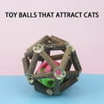 thumbnail image 5 of Interactive Cat Toy With Inside Natural Wooden Teaser For Indoor Outdoor Play Stimulating Exercise, 5 of 6