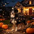 thumbnail image 6 of FEOLGEHLY Halloween Dog Hat Set and Witch Cloak, Soft Blend Adjustable Holiday Dog Costume, Cosplay Dress Up Dog Outfit for Small Medium Dogs Cats Party Photo Props, Halloween Fall Decorations, 6 of 7