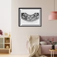 thumbnail image 3 of Historic Framed Print, The Evolution of civilization, dome of rotunda.E.H. Blashfield, artist. - 2, 17-7/8" x 21-7/8", 3 of 9