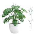 thumbnail image 2 of Stackable Support Stakes for Climbing Indoor Outdoor Garden Use Tall Potted Alternative to Poles 70cm 100cm Length, 2 of 4