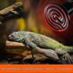 thumbnail image 4 of 150w Infrared Lamps Ceramic Reptile And Amphibian Heating Bulb, Snake, Bird, Turtle(220-240v, E27 Threaded Adapter), 4 of 5