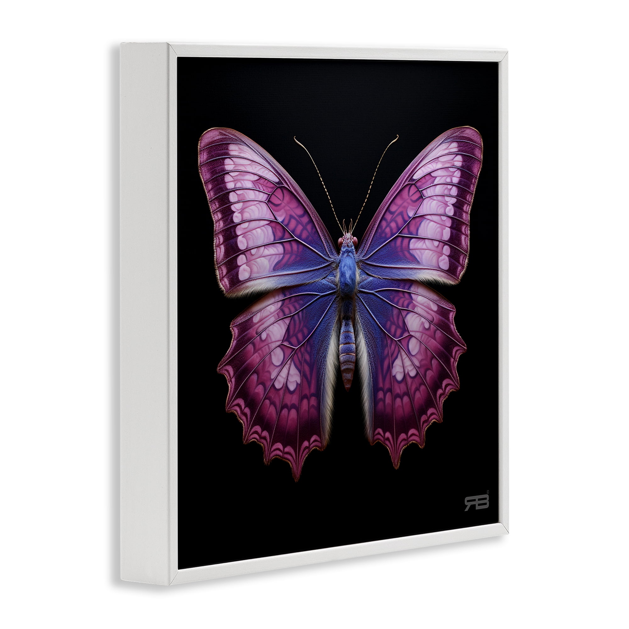Stupell Industries Vivid Purple Butterfly Animals & Insects Painting White Framed Art Print Wall Art, 12 x 12