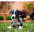 thumbnail image 4 of Cepillo azul para perros y gatos, 13,5 cm × 10,5 cm × 5 cm, cepillo inferior, peine para perros, cepillo para perros, belleza, 4 of 5