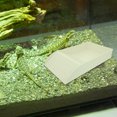 thumbnail image 3 of RENACLIPY Multi Use Plastic Turtle Ramp and Basking Platform Light Grey Turtle Tank Accessories, 3 of 7