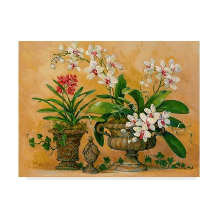 Renaissance Fine Art - Trademark Fine Art 'An Orchid Renaissance' Canvas Art by Barbara Mock