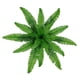 thumbnail image 1 of 1 paquete de helechos artificiales impermeables a la luz, color verde helecho, con helechos realistas, ideales, 1 of 8