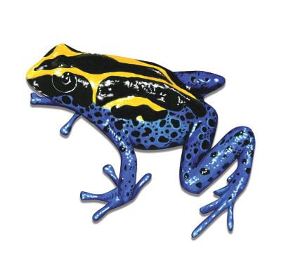 Frogs Jump Animal for Macbook Laptop Car Window SUV Wall Helmet Decal Sticker Frogs Jump Animal for Macbook Laptop Car Window SUV Wall Helmet Decal Sticker