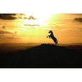 thumbnail image 2 of The Yellowstone Collection 14x11 Black Modern Framed Museum Art Print Titled - Sunset Dancer, 2 of 4