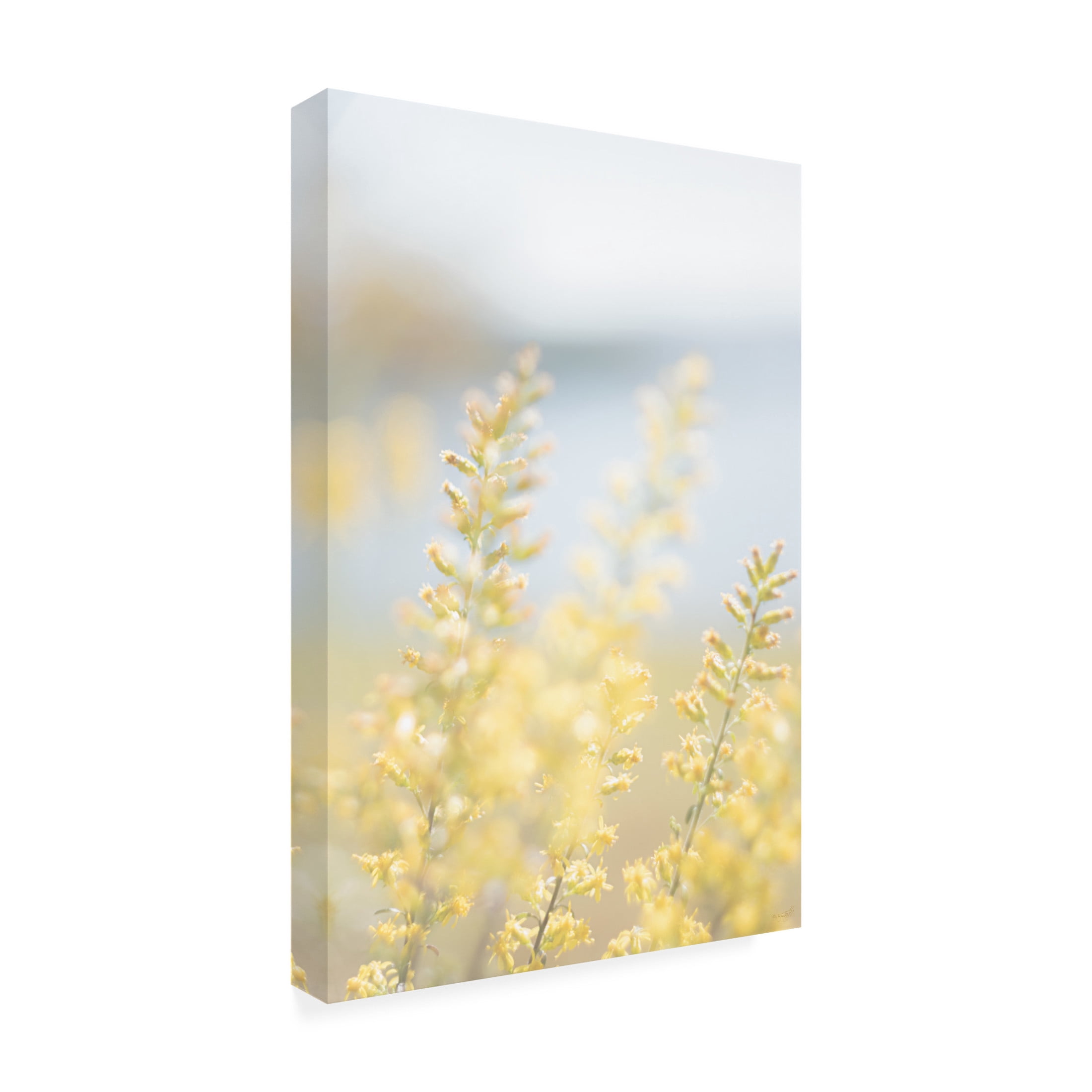 Canvas Wall Art - Life BeautifuLEE 'Tiny Yellow Boquets 2' Wall Art for Living Room, Bedroom, or Office Décor by Trademark Fine Art - 30 x 47 Inches
