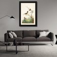 thumbnail image 3 of John James Audubon 17x24 Black Modern Wood Framed Wall Art Titled - Pl. 360 Winter Wren, 3 of 6