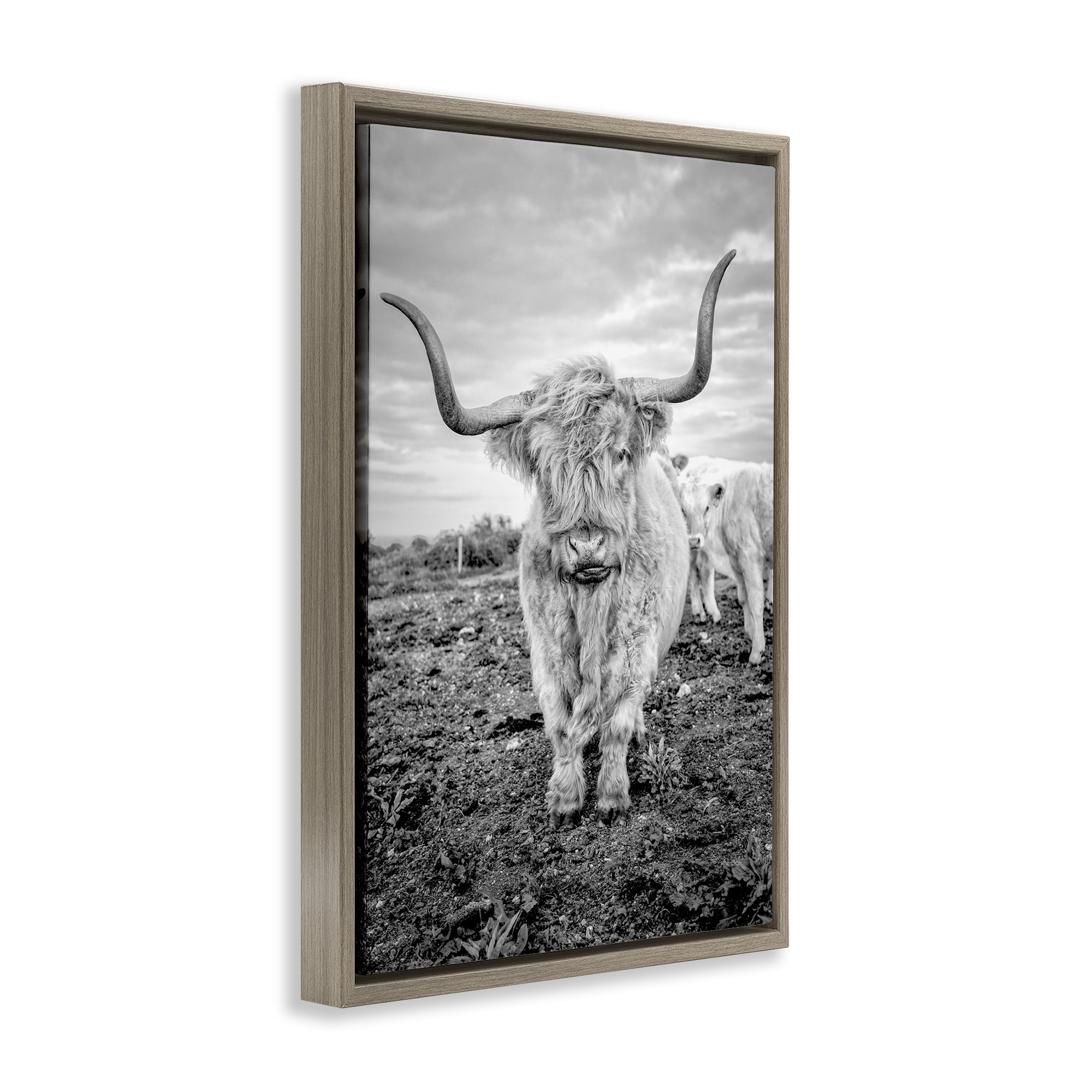 Stupell Industries Longhorn Calf Family Animals & Insects Photography Brown Floater Framed Canvas Art Print Wall Art, 17 x 25