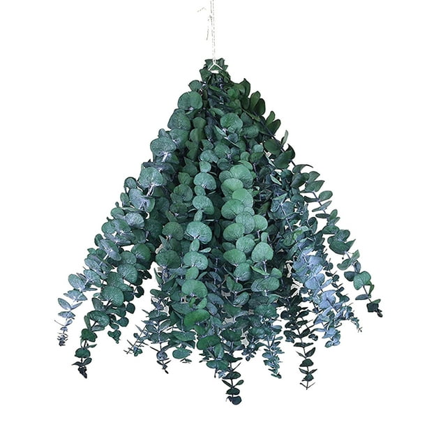 Hojas Artificiales Paquete de 10 hojas secas de eucalipto para aromaterapia natural, vaporizadores de ducha, decoración del hogar JASKFLY
