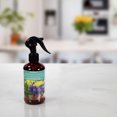 thumbnail image 3 of ScentSationals Room Spray - Peppermint & Lavender, 3 of 3