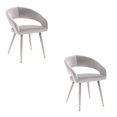 thumbnail image 1 of Darius Dining Chair In Grey Velvet - SET OF 2, 1 of 4