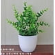 thumbnail image 2 of Pequeña maceta Bonsai Hogar Sala de estar Escritorio Decoración Pequeños Ornamentos, 2 of 8