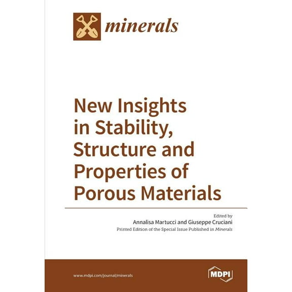 New Insights in Stability, Structure and Properties of Porous Materials, (Paperback)