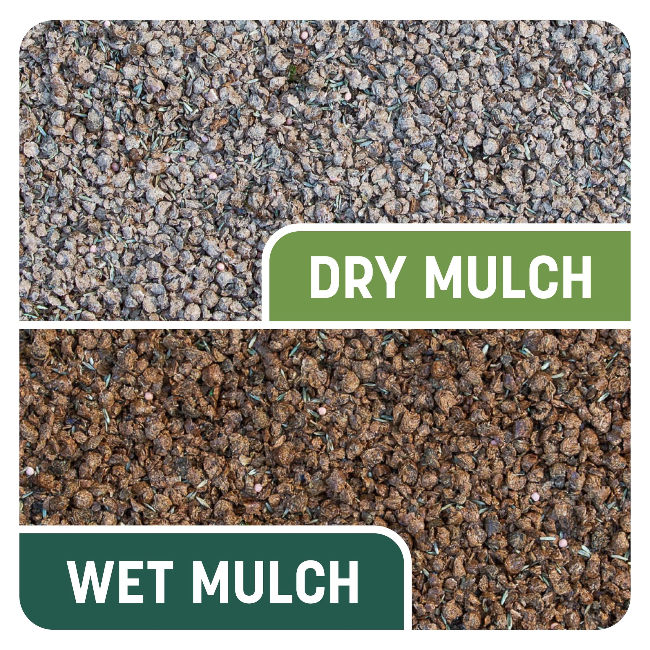 Pennington Smart Patch Sun and Shade Grass Seed Mix, for Sun to Partial Shade, 20 lb. New Bag