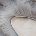 thumbnail image 5 of PiccoCasa Faux Fur Area Rug Shaggy Floor Mat, Light Gray 2x3 Feet Rectangle, 5 of 7