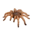 thumbnail image 1 of EGNMCR Spider Araignée Noire Araignée Simulation Insecte Modèle Solide Enfants Piège et Effrayant Tricky Cadeaux d'Anniversaire pour Enfants, 1 of 1