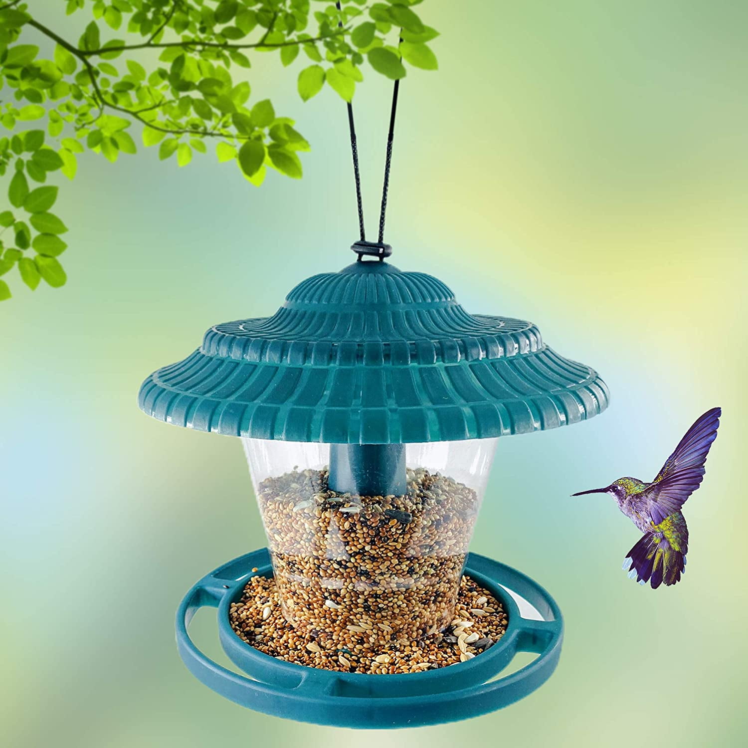 Bluebird feeder salonexus