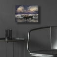 thumbnail image 5 of Epic Art 'Buffalo Reflections' by Enright, Acrylic Glass Wall Art, 16"x12", 5 of 8