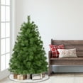 thumbnail image 3 of Puleo International 4.5' Unlit Artificial Colorado Pine Christmas Tree, 3 of 5