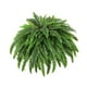 thumbnail image 5 of Planta artificial de helecho artificial, hojas verdes realistas decorativas para bricolaje. 1 por ciento, 5 of 8