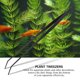 thumbnail image 5 of Herramientas De Paisajismo Acuático, Herramientas De Paisajismo Acuático, Pinzas Para Plantas, Convenientes Para Peceras, Acuarios, Mascotas Peque?as, Animales ANGGREK Otros, 5 of 8