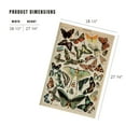 thumbnail image 3 of Lantern Press 1000 Piece Jigsaw Puzzle, Butterflies, C, Vintage Bookplate, Adolphe Millot Artwork, 3 of 5