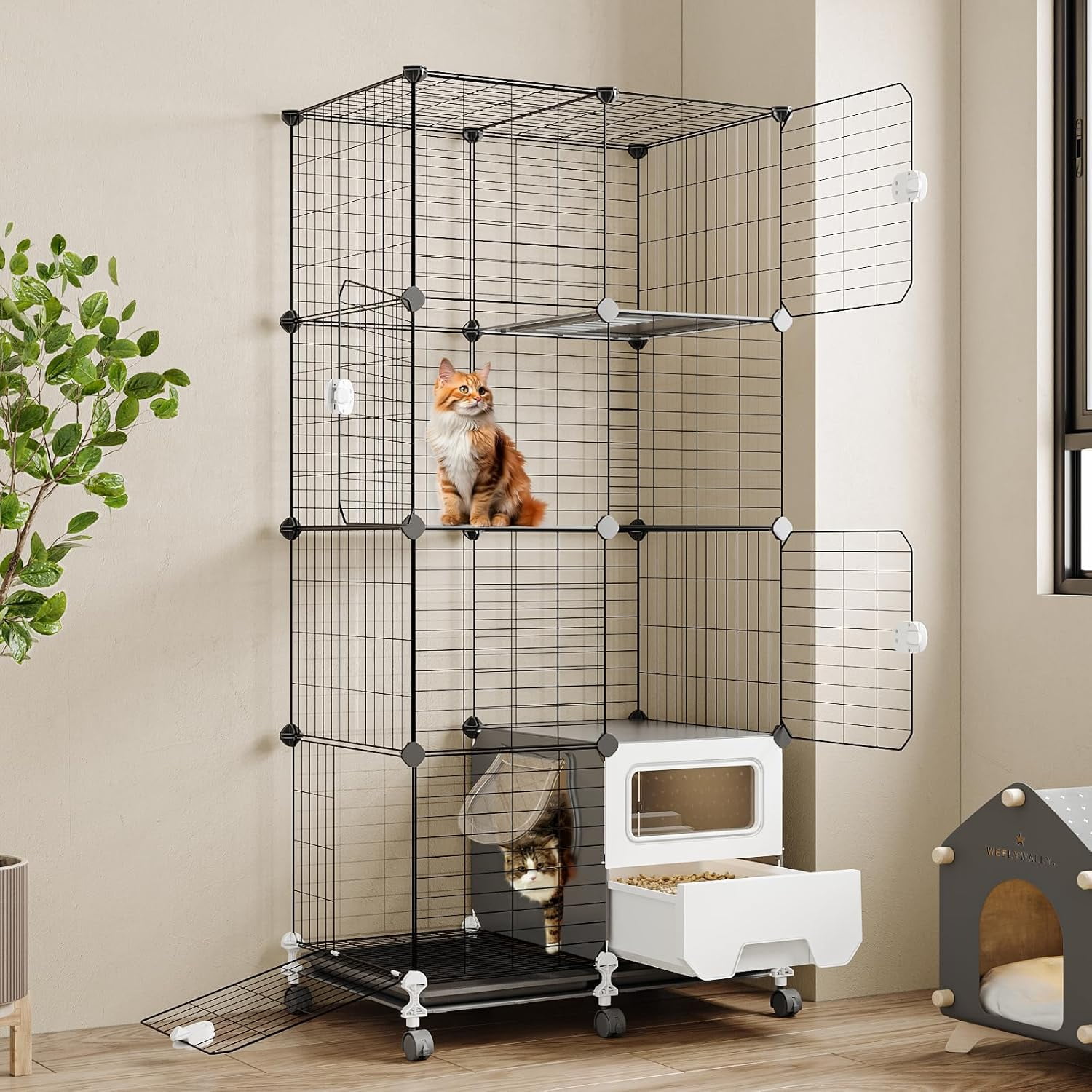 kat&roger キャットアンドロジャー Amazon.co.jp: Kat Roger キャット アンド ロジャー コーヒー