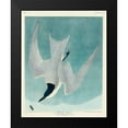 thumbnail image 2 of Audubon, John James 20x24 Black Modern Framed Museum Art Print Titled - Marsh Tern, 2 of 5