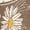 HEATHER MOCHA, variant on Yellowstone - Dutton Ranch Steer Skull Flower - Women's Short Sleeve Graphic T-Shirt