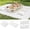 White, variant on Extra LargeOutdoor Boho PicnicBlanket with and 6 Throw Pillows Covers Wedding Party Decoration Photoshoot Home Garden Party Decor Patio Lawn OutdoorMat Beach Party theme Supplies Sage Green