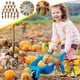 thumbnail image 1 of Xihbxyly Mini Espantapájaros de Halloween, Decoración Única para Jardín, Fácil de Instalar, Versátil para Exteriores, Temática de Halloween Misteriosa, Decoración de Patio, Color Aleatorio, Juego de, 1 of 7