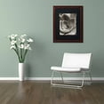 thumbnail image 3 of Trademark Fine Art "Florison 25" Canvas Art by Alan Blaustein, Black Matte, Wood Frame, 3 of 4