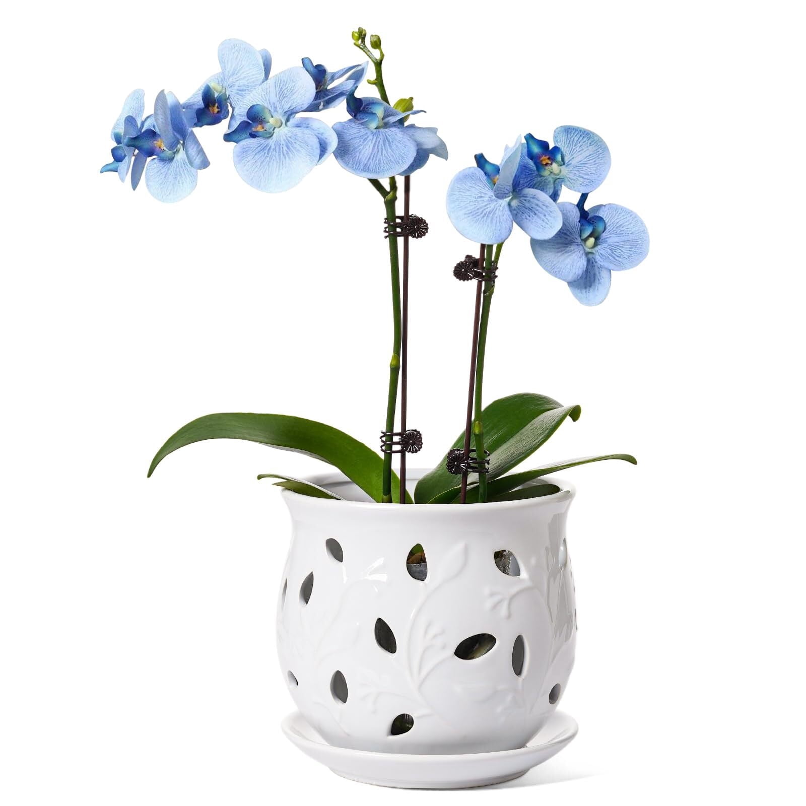 LE TAUCI Orchid Pot, 6.5 Inch Ceramic Planter with Drainage Hole and Saucer, White Indoor Plant Pot for Repotting(Plant not included)