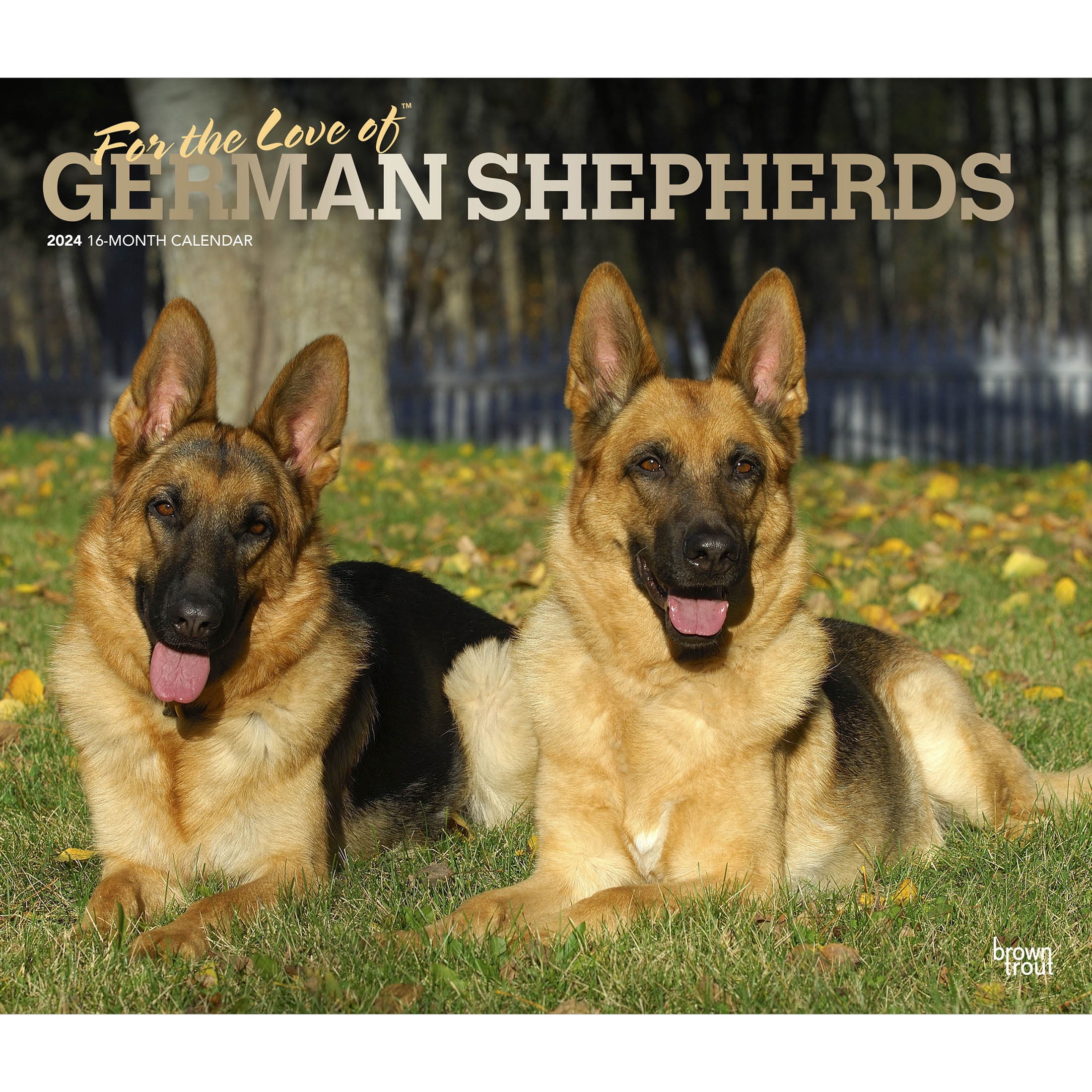 For the Love of German Shepherds | 2024 14x24